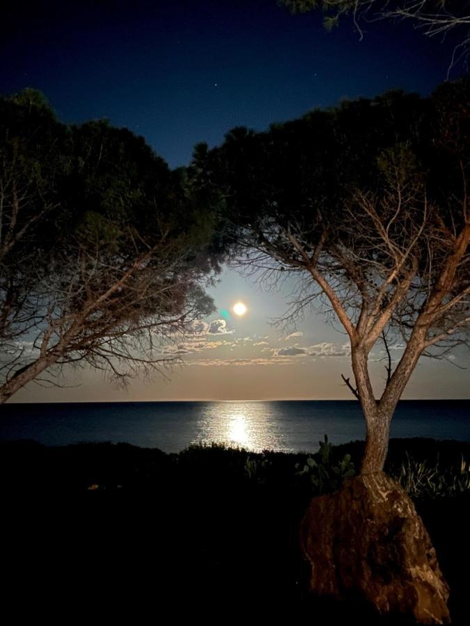 Villa Elma Villaputzu Εξωτερικό φωτογραφία
